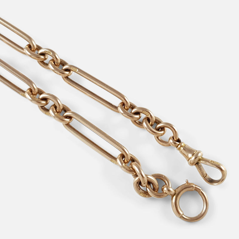 a section of the chain to include the dog clip and roll pin clasp
