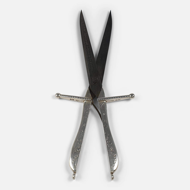 the scissors out of scabbard