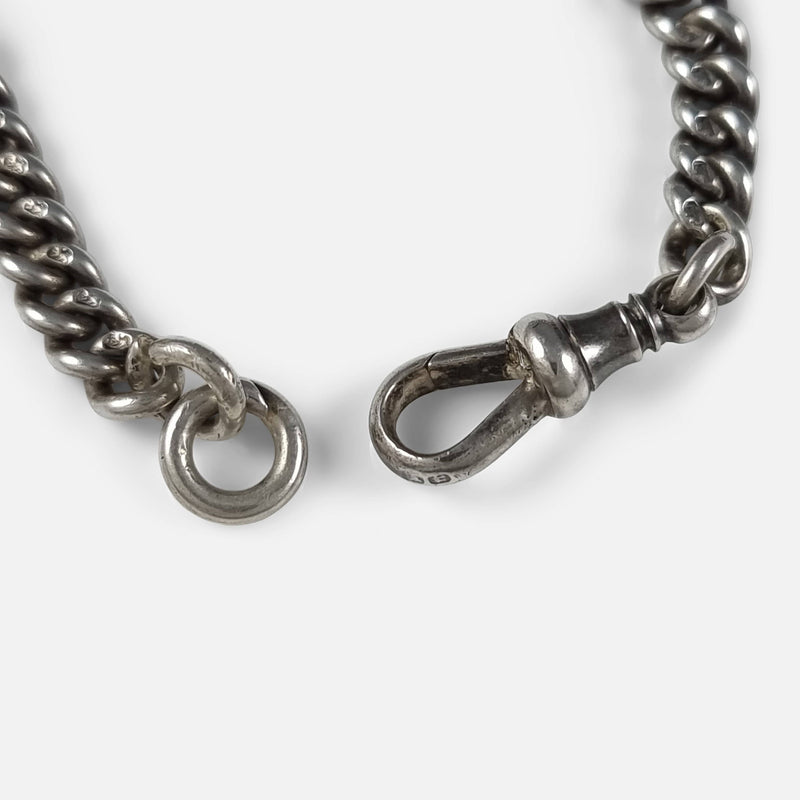 the dog clip and end ring in focus