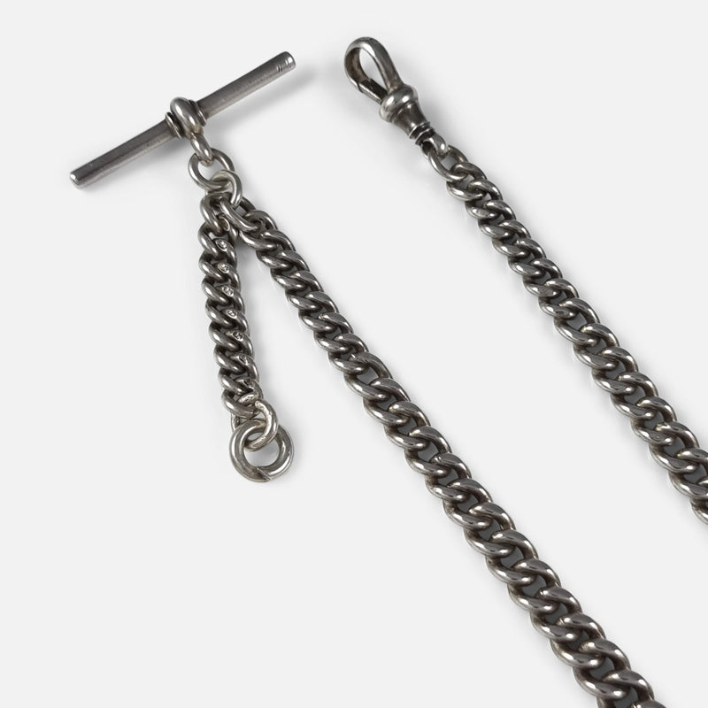 a section of the chain in focus to include the T-bar and dog clip