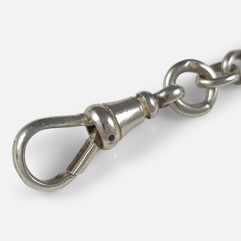 the dog clip in focus